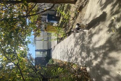 Casă cu 5 camere în Romanești - 3