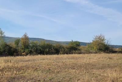 Teren de 11030 mp, în Chițoc - 2