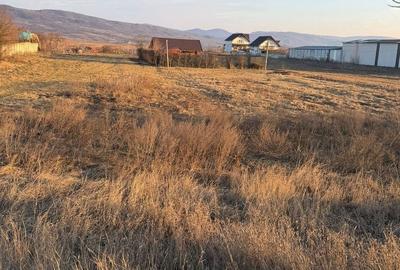 Teren de 1000 mp, în Buhoci - 5