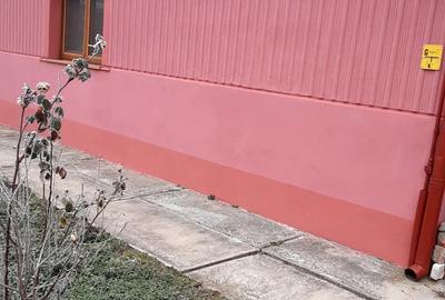 Vand casa langa Variasu Mic - 2