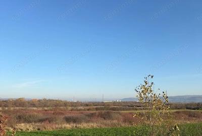 Teren de 18532 mp, în Gurasada - 5