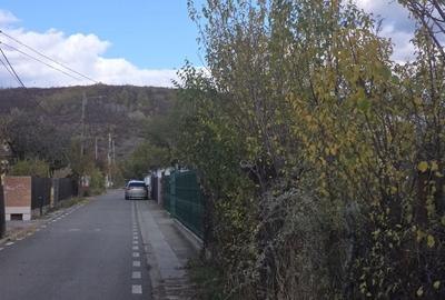 Casa vacanta zona colinara la 5 minute de municipiul Targoviste - 4