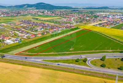 Teren Intravilan pentru dezvoltare imobiliara 15.600mp/Harman - 1