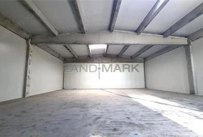 Spatiu industrial de inchiriat, 523 mp, Timisoara exterior NORD - 3