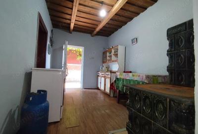 Casă cu 2 camere cu Teren 4600 Mp în Calea Mare - 8