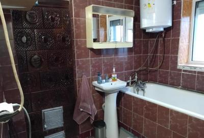 RECO Casa in  Tamaseu  18km de Oradea - 6