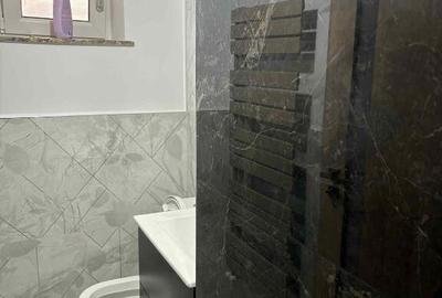 Apartament de 3 camere zona Calea Bucuresti(zona Liceul de Informatica - 3
