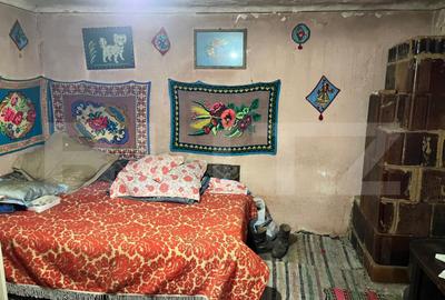 Casa batraneasca pe un singur nivel , 1700 mp teren, Bradest - 2