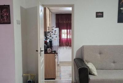 Casă cu Teren 2600 Mp în Bascov - 4