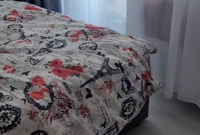 Apartament cu 2 camere decomandat în Central - 2