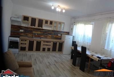 Apartament cu 2 camere, mobilat în Șega - 6