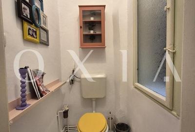 AX1103 Ultracentral, Piata Victoriei, Prima Inchiriere - 10