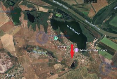 ID 7858 TEREN DE VANZARE MURIGHIOL, DELTA DUNARII - 2