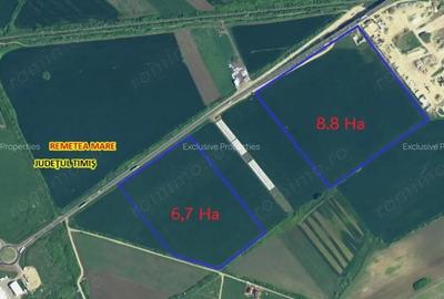 Teren de 70000 mp, în Remetea Mare - 1