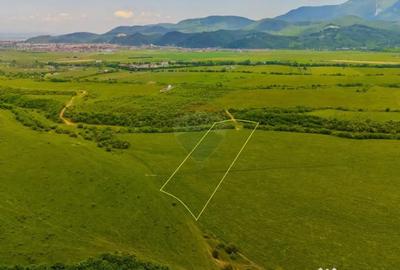 Teren de 10800 mp, în Râșnov - 3