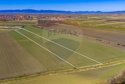 Teren agricol extravilan de 21893 mp, în Bod - 3