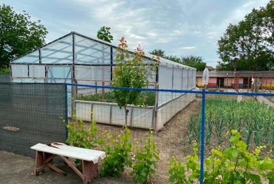 Casă individuală cu 5 camere cu Teren 1000 Mp în Băduleasa - 5