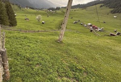 Spațiu comercial, în Cârlibaba - 5