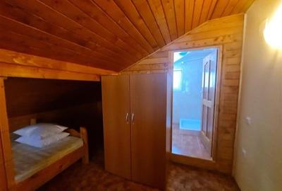 Incadrata de 4.200mp teren, Vila cu potential turistic, in inima Predealului - 33