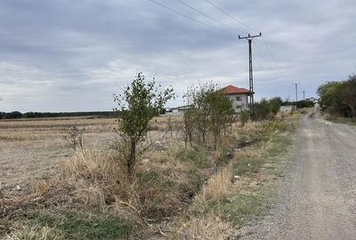Teren de 5000 mp, în Cârligei - 5