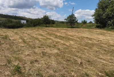 Teren de 6939 mp, în Exterior Vest - 1