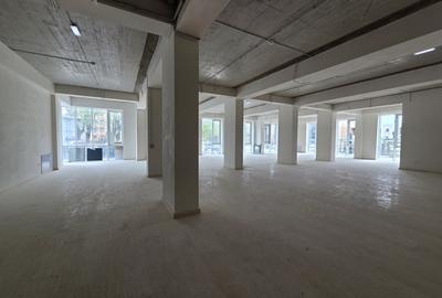 Spațiu comercial, de 428 mp, în Copou - 3