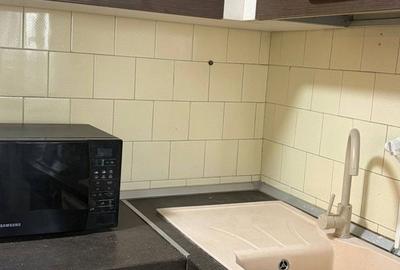 APARTAMENT MODERN CU PANORAMA IULIU MANIU - 15