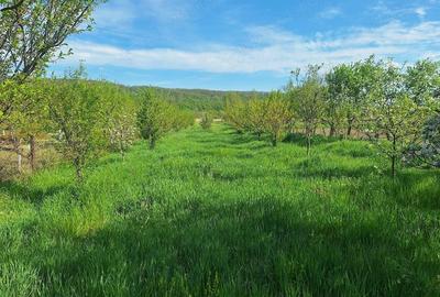 Casă cu 3 camere cu Teren 1774 Mp în Tăgădău - 3