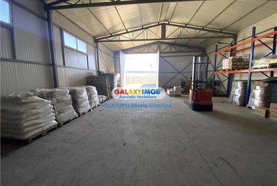 Inchiriere Hala Industriala Baicoi Prahova - 3