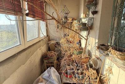 Apartament cu 3 camere semidecomandat în Baba Novac - 2