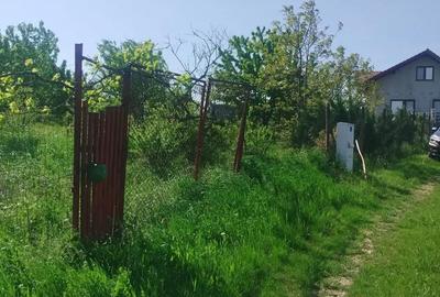 Teren de 500 mp, în Paleu - 4