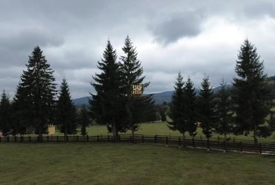 Teren de 16813 mp, în Fundu Moldovei - 5