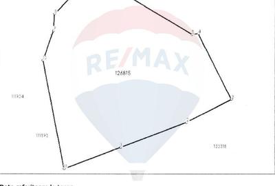 Oportunitate de investitie ! Teren intravilan, 19086 mp, Poiana Brasov - 4