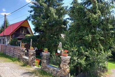 Casă cu 6 camere cu Teren 6060 Mp în Căsoi - 2