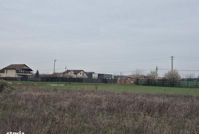 Spațiu comercial, în Balotești - 8