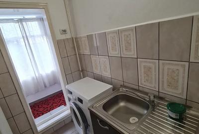 Cu gradina si 2 intrari, mobilat si utilat - 2