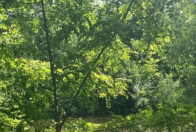 Teren de 10000 mp, în Vicovu de Sus - 7