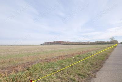 Teren de 270000 mp, în Gherghița - 4