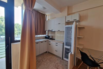 1 camera - Exclusive Residence - Copou - mobilat si utilat - 1 camera - Exclusive Residence - Copou - mobilat si utilat - - 3