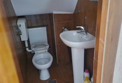 Vila P+E si teren intravilan 1,5Ha,cu zavoi+iaz,lac peste si livada-investitie - 21