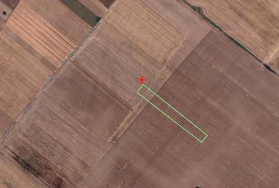 Teren agricol extravilan de 4997 mp, în Berceni - 1