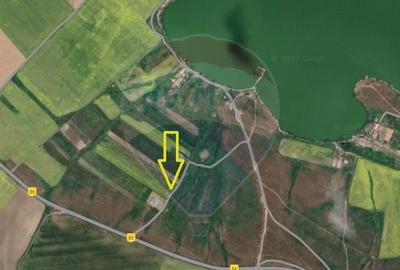 Teren agricol extravilan de 5000 mp, în Nord - 6
