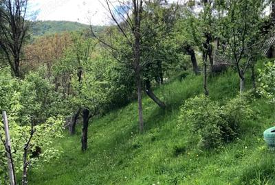 Vind casa 4 camere P+etaj si teren 1000 mp ,Sotrile ,Prahova 55000 E - 4