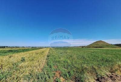 Teren intravilan Maracineni / Strada Manga