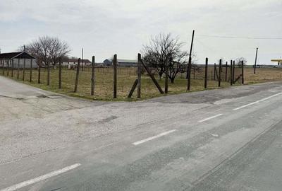 Pret redus Teren generos cu grajd nou in Varsand - 4