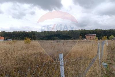 Teren 1,500mp Ghermanesti / Strada Cetatea neamtului Teren 1,500mp Ghermanesti / Strada Cetatea neamtului - 8