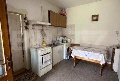 Casă cu 2 camere cu Teren 1700 Mp în Gheorghe Doja - 8