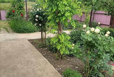 Casă cu 2 camere cu Teren 3868 Mp în Central - 5