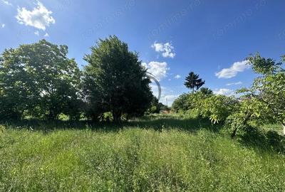 Teren de 11000 mp, în Ghirdoveni - 8