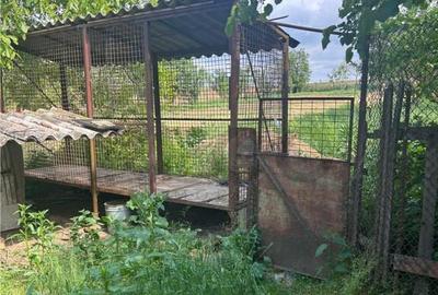 RECO casa batraneasca Sacueni - 13